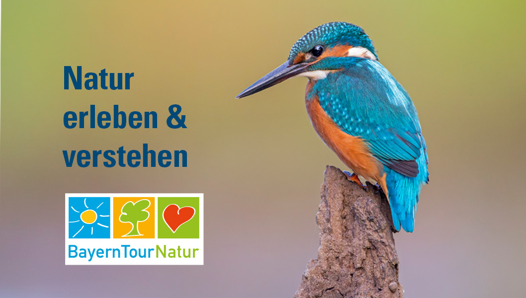 Tolle Erlebnisveranstaltungen! Kommen Sie mit auf Tour, raus in die Natur!