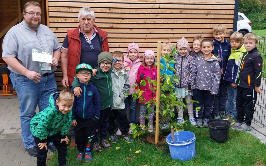 Ein Maulbeerstrauch als neues „Bonbon“ für den Kindergarten St. Georg
